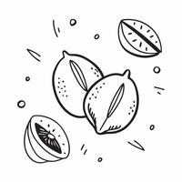 Bold summer seamless pattern with bright citrus fruits and playful colors for a refreshing summer aesthetic concept as Playful summer pattern with citrus fruits and bright colors i Clean vector