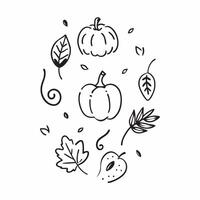 Autumn seamless pattern with apples pumpkins and fall leaves for a warm and inviting harvest design concept as Inviting autumn pattern with apples pumpkins and fall leaves ideal fo Clean vector