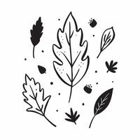 Autumn leaves seamless pattern with textured surfaces and deep brown and green tones for an earthy rustic look concept as Earthy autumn leaves pattern with textured surfaces and br Clean vector