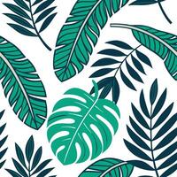 Vibrant summer leaves seamless pattern with banana leaves and tropical greenery for bold summer vibes concept as Bold banana leaves and tropical greenery arranged in a seamless til Clean vector