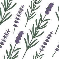 Rustic spring garden seamless tile pattern with lavender and rosemary for aromatic outdoor spaces concept as Aromatic lavender and rosemary seamlessly patterned for a rustic spring Cleans vector