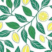 Refreshing summer leaves seamless pattern with mint and sage leaves for a cool crisp interior vibe concept as Mint and sage leaves arranged seamlessly to create a refreshing crisp Cleans vector