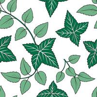 Refreshing summer leaves seamless tile pattern with mint and ivy for a Cleans fresh feel concept as Cleans and fresh mint and ivy leaves arranged seamlessly to create a refreshing an Cleans vector
