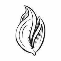 Leaf icon with copy space on a white background concept as A image of a leaf icon with generous copy space on a white background ideal for natural health and eco friendly th Cleans Set 3 vector