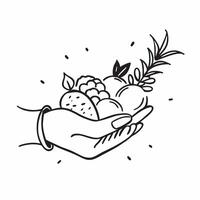 Human hands presenting a cornucopia filled with fruits with copy space concept as Human hands presenting a cornucopia filled with fruits symbolizing abundance and Thanksgiving wit Cleans Set 2 vector
