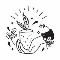 Human hands holding a candle and autumn berries with copy space concept as Human hands holding a candle and autumn berries symbolizing the warmth and festive nature of Thanksgivin Cleans vector