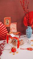 Chinese New Year Picnic Roll with Chinese Ornaments Background. photo