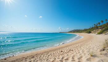Sandy beach with clear turquoise water and palm trees under a bright blue sky photo