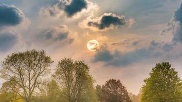 Sun glows through hazy sky, casting warm light on the trees below, capturing beauty of partly cloudy day. Nature and atmosphere concept photo