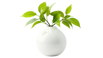 A Sleek White Vase with Fresh Green Leaves Perfect for Modern Home Decor or Botanical Photography Projects. png