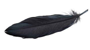A Stunning Close-Up of a Black Raven Feather to Enhance Your Nature Inspired Design Projects and Artworks. png