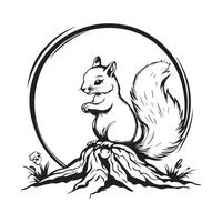 Squirrel On Tree image and Illustrations isolated on white background. vector