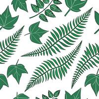 Fresh summer leaves seamless pattern with ivy and ferns for natural green themed interiors concept as Ivy and ferns arranged seamlessly to bring a natural green feel into summer th Cleans vector