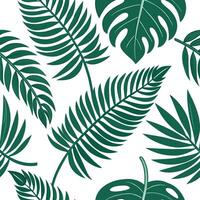 Energetic summer leaves seamless pattern with palm and fern leaves for bold tropical designs concept as Bold palm and fern leaves arranged seamlessly to create energetic tropical s Cleans vector