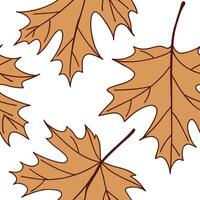 Classic autumn leaves seamless tile pattern with chestnut and oak leaves for timeless fall home decor concept as Chestnut and oak leaves arranged seamlessly in classic autumn color Cleans vector