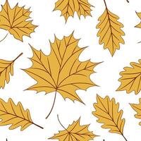 Autumn warmth seamless tile pattern with cozy blankets and golden maple leaves for inviting home decor concept as Cozy blankets and golden maple leaves arranged seamlessly to creat Cleans Set 10 vector