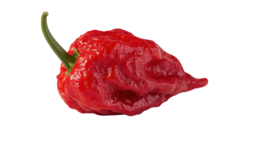 A Bright Red Hot Pepper with a Glossy Surface Ideal for Culinary Photography and Food Styling Projects. png