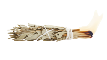 Aesthetic Image of a Bundle of Sage with a Burning Tip Set Against a White Background for Wellness and Spiritual Practices. png