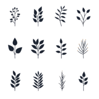 A collection of various leaf designs in a dark color scheme, suitable for graphic use and botanical themes. png