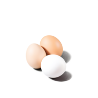 eggs, realistic, high detail, soft lighting, shadow, transparent background, still life, food photography, minimalist, clean, 3D render, product shot, farm fresh, organic, beige and wh png