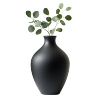 Black Vase with Eucalyptus Sprig Arrangement png