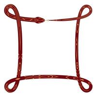 A snake is wrapped around a square frame vector