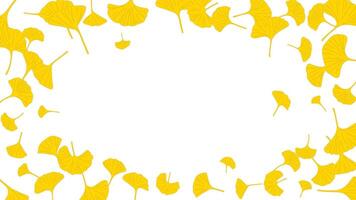 Autumn ginkgo leaves illustration in the empty space. Frame ginkgo leaves yellow color vector
