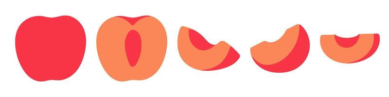 Set of abstract apricot. Whole, half and sliced fruit. Vibrant design in a modern, minimal style for textiles, packaging, poster, interior. vector