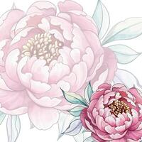 Lush pink peonies with intricate petals enhance the freshness of spring, creating a serene atmosphere filled with beauty and elegance vector
