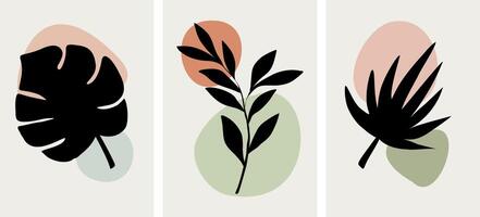 Three different types of plants in different shapes vector