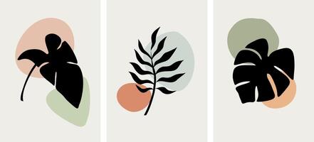 Three different types of leaves in different colors vector