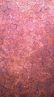 AERIAL SHOT OF CRACKED RED MUD photo