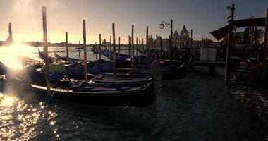 Gondolas In Venice Floating By A Dock In The Afternoon video
