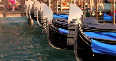 Row of Gondolas In Venice Floating By A Dock In The Afternoon video