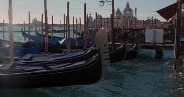 Gondolas at the San Marco Water Station In Venice During A Cold Morning video