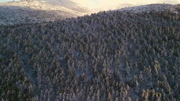 Aerial View Of The Mountains Of Navacerrada In Castilla Leon During a cold Winter day video