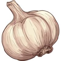 Fresh garlic clove, healthy ingredient for cooking icon isolated png