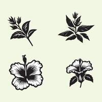 Creative Botanical set with flowers Design on a white background vector