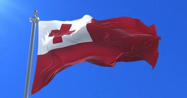 bandeira do tonga acenando às vento dentro lento com azul céu, ciclo video