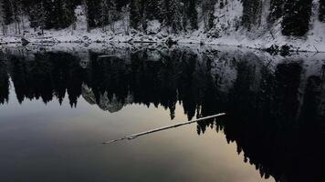 Aerial view of forest reflection in a beautiful alpine lake in the mountains video
