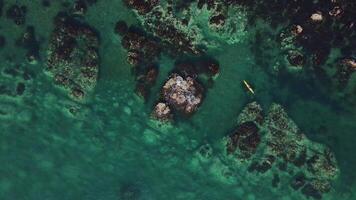 Cliffs sea harmony wild nature's spectacle aerial top view Sea caressing cliffs sun illuminating both. Cliffs by sea breathtaking blend mountain ocean Majestic views untouched wilderness. video