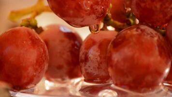 Grapes rotating close up. Loop video