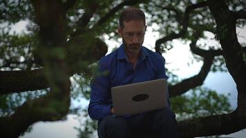 A Focused Professional Engaged in Work on a Laptop While Seated in a Tree High Above the Ground video