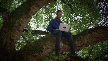Working Remotely Surrounded by Nature A Man Sitting on a Tree Branch While Using a Laptop video