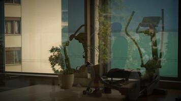 A home gym that features an elliptical machine and is filled with delightful indoor plants video