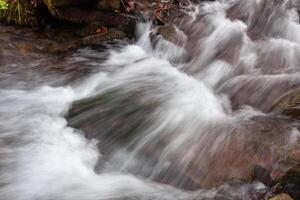 A stream of water flowing over rocks in a forest photo