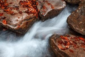 A stream of water flowing over rocks with red leaves photo