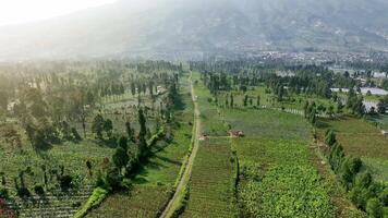 Temanggung tobacco fields spread across mountainous terrain seen from above in Central Java Indonesia video