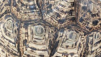 Close-up of a turtle shell, showing intricate patterns and textures photo