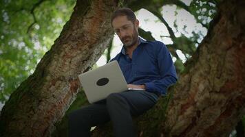 A Person Working on a Laptop While Sitting in a Tree Combining Nature and Remote Work video